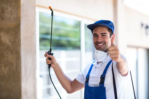 Desert Hot Springs Wasp Removal