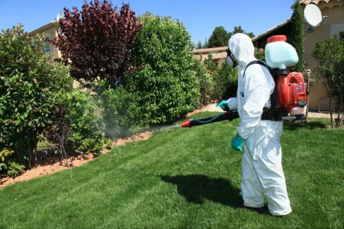 Desert Hot Springs Mosquito Control