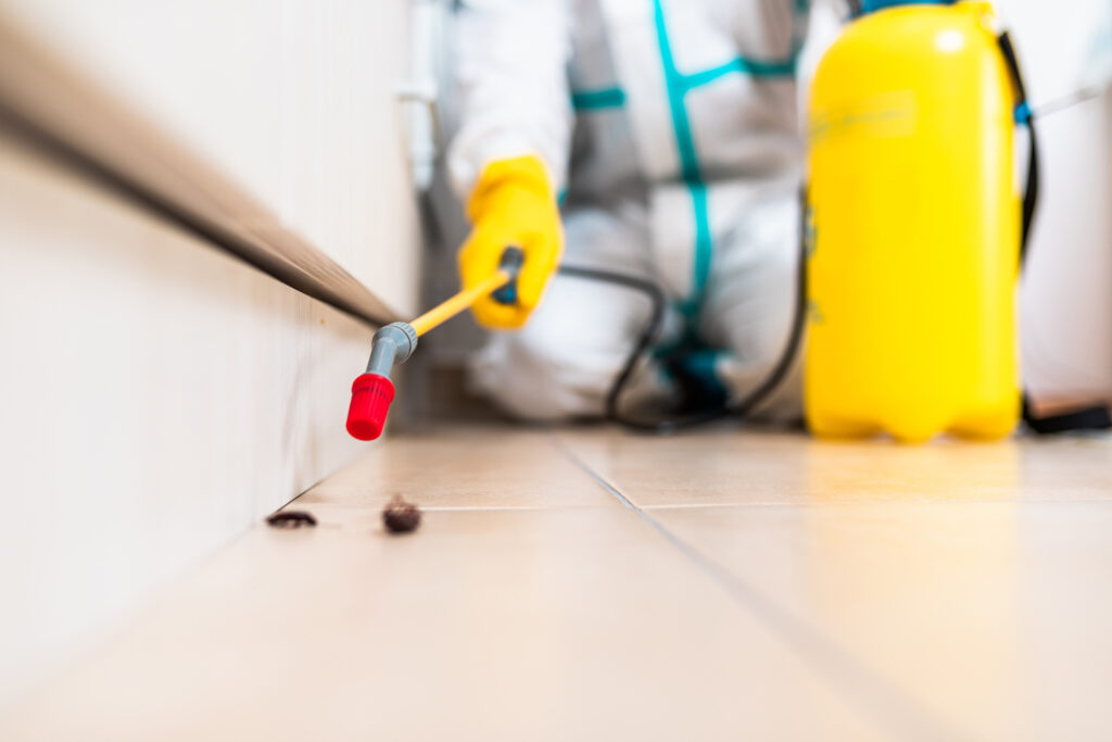 Desert Hot Springs Cockroach Experts